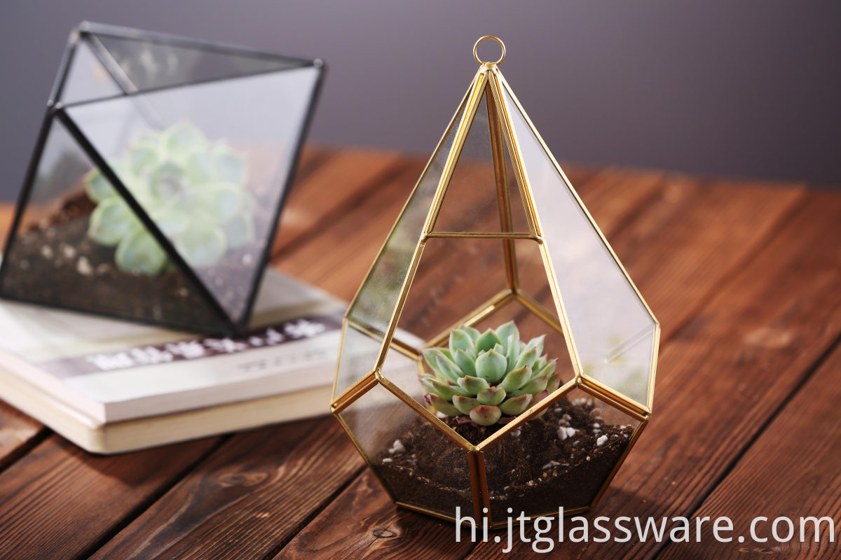 High Quality Glass Plants Terrarium